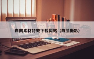 如东白鹅素材特效下载网站（白鹅摄影）